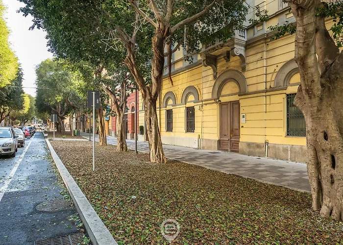 Cami's Corner - Heart Of Daire *